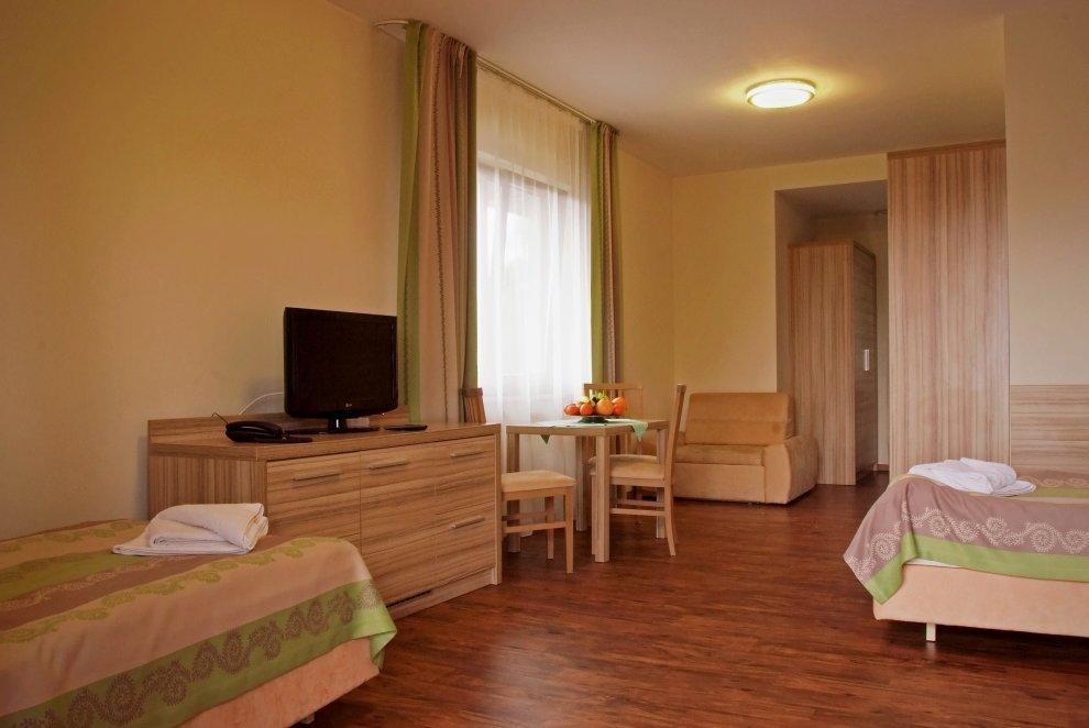 رابكا Rabczanski Zdroj Medical Spa المظهر الخارجي الصورة